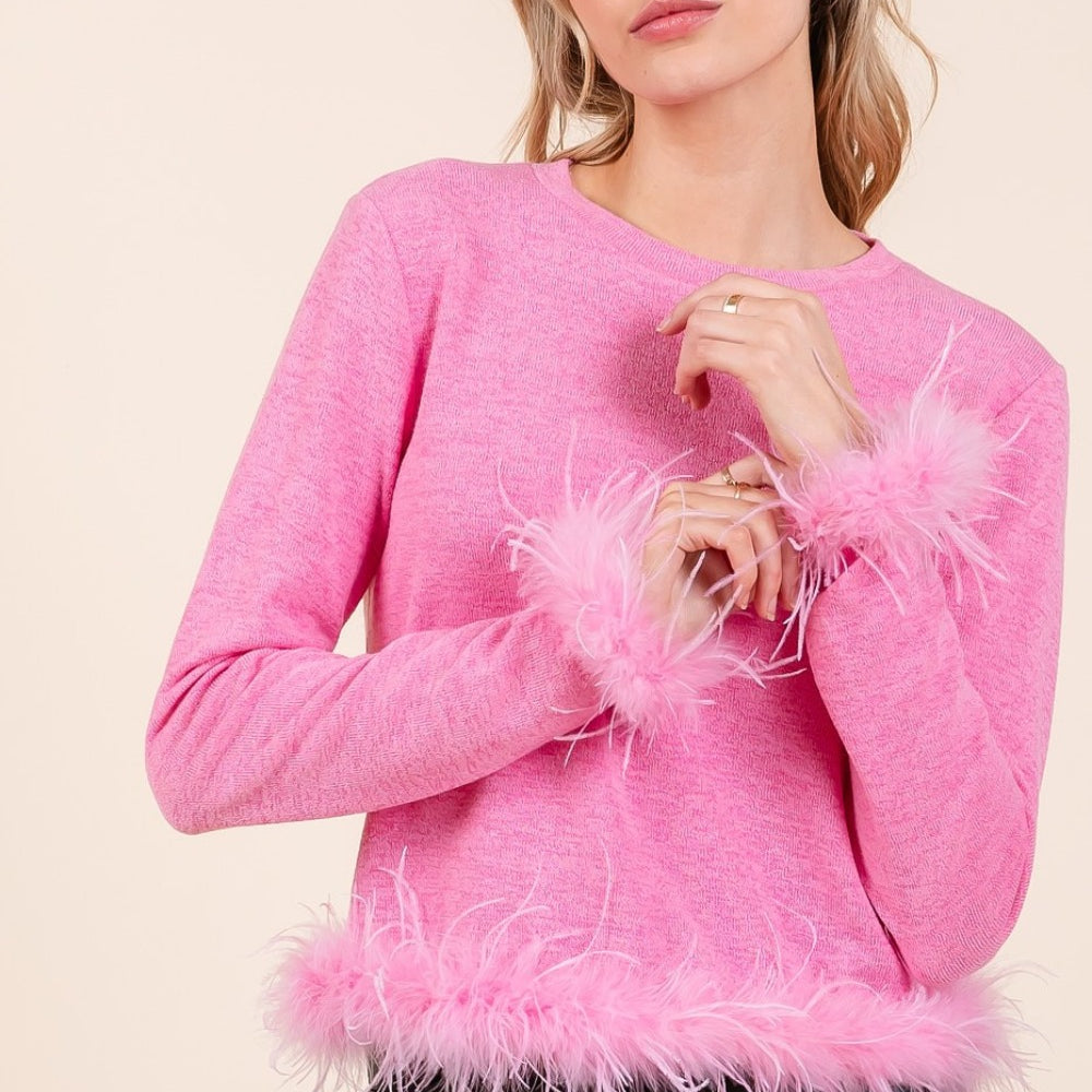 
                      
                        Feather Trim Long Sleeve Crop Hacci Knit Top
                      
                    